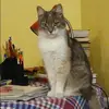 Отзыв от Людмила Ерофеева